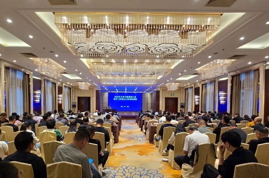 西投控股所屬國信小貸受邀為全省小貸公司進行業(yè)務(wù)培訓